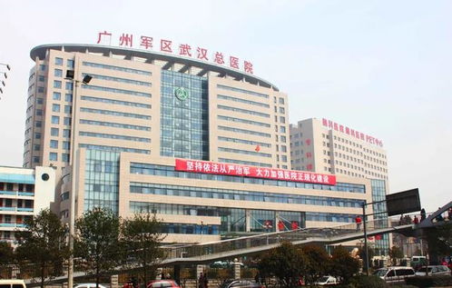 格鲁吉亚医院做试管婴儿要多少钱？宝藏攻略来了！