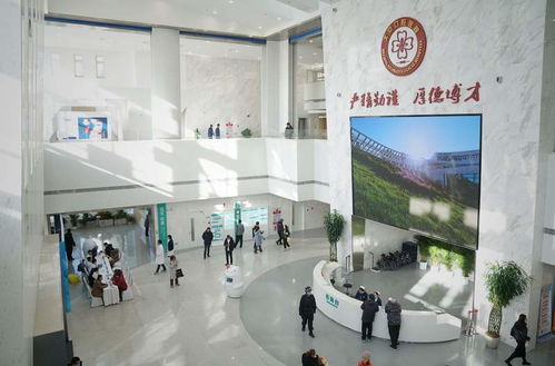 格鲁吉亚国内试管婴儿排名医院，这几家堪称宝藏！