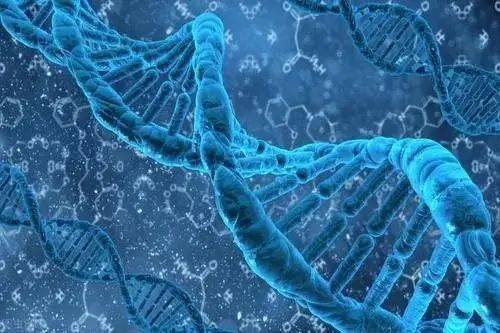 格鲁吉亚试管助孕机构：揭秘其独特优势与服务