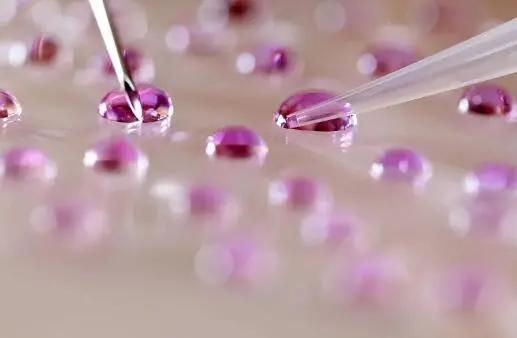 格鲁吉亚试管婴儿中心排名新鲜出炉，小白必看！