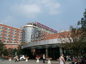 格鲁吉亚中心妇产试管婴儿踩雷，小白必看的避坑指南