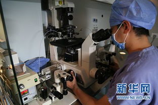 格鲁吉亚医院供精试管婴儿成功率如何？这份数据报告告诉你真实答案