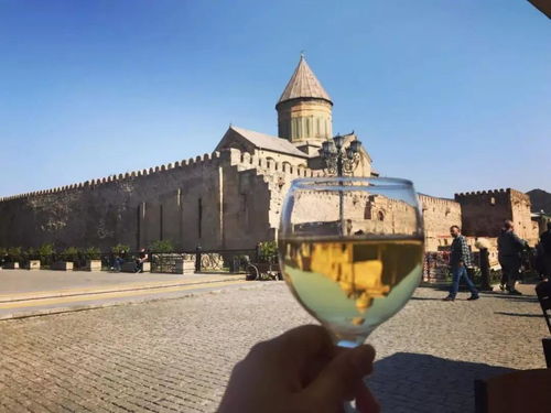 格鲁吉亚国外助孕机构深度测评：真实用户告诉你如何避开90%的坑