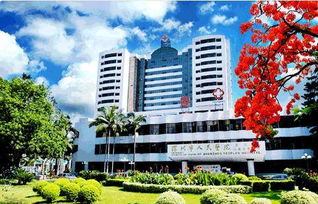 格鲁吉亚正规代孕机构排行榜：新手爸妈必看的权威指南