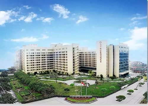 格鲁吉亚孕婴中心：新手父母必看的专业生育指南