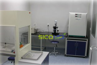 格鲁吉亚试管婴儿中心排名揭晓：助孕成功率超60%的秘密在这里