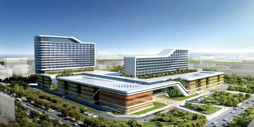 格鲁吉亚试管婴儿哪个医院做好？老司机揭秘当地医疗实力真相